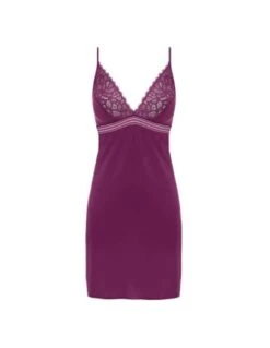 Nuisette En Dentelle RAFFINE Wacoal Potent Purple -Wacoal nuisette en dentelle raffine wacoal potent purple 2